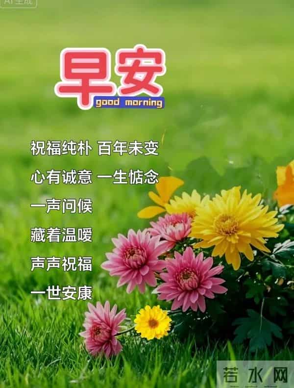 「2025.12.05」今日唯美早安祝福图片问候，温馨早上好祝福语