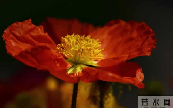 一个细节，说明男人爱你