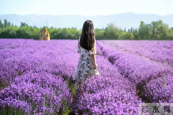 搂着睡可以,亲嘴也行,但女人说的话,你敢全信吗?