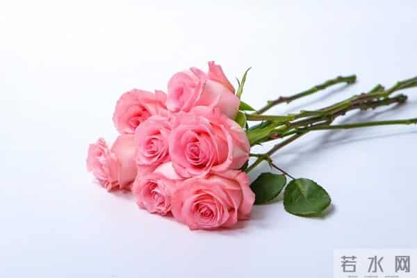 时来运转，你的好日子要来了