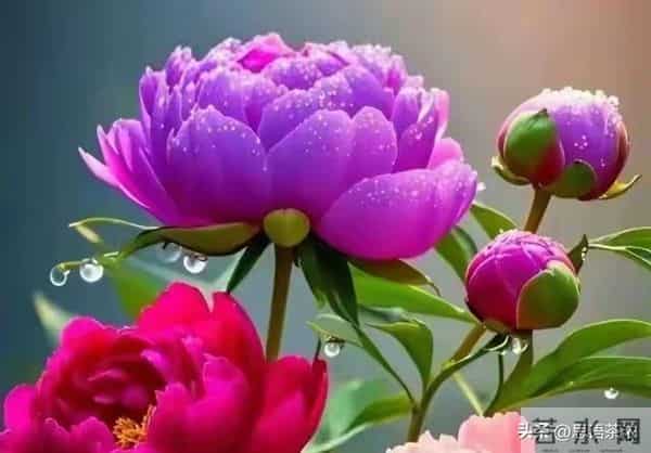 情感:女人过中年,最渴望的“肉麻”行为竟然是这些!