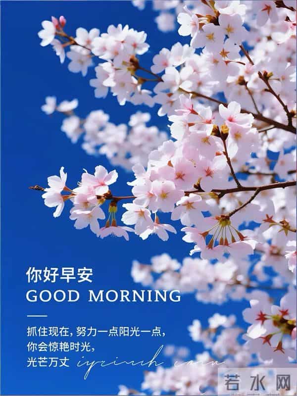 每天的开心,是健康的保证,不为往日忧,只为余生笑。早安!