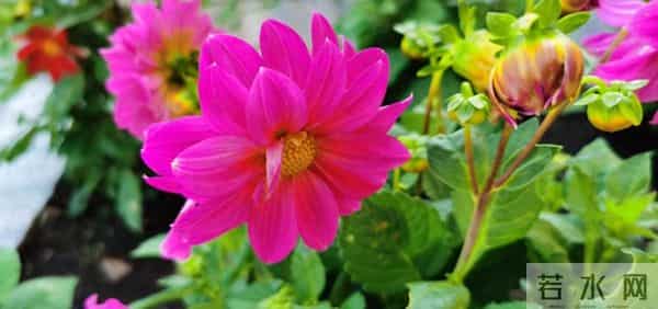 老了才明白：父母开始看你脸色了，不是他们怕你，而是他们老了