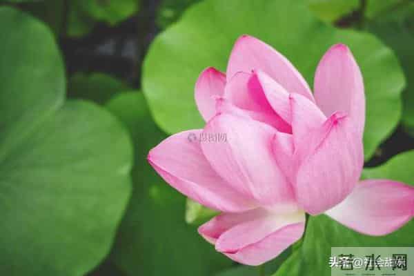 一定要记住，无论到哪里，都不要话多，也不要和任何人吐露太多