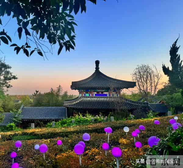 摩羯座12月6日运势