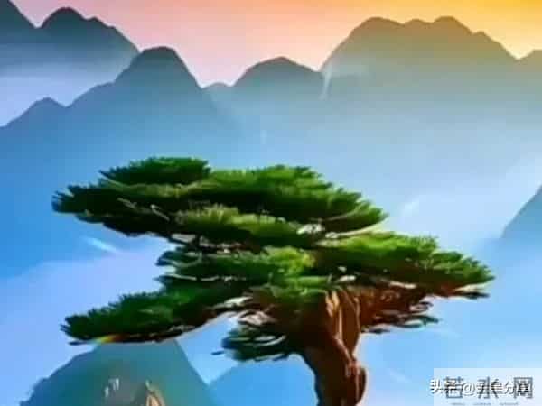 大胆地去报复每一个不尊重你的人:你被欺负,不因为弱,是因为忍