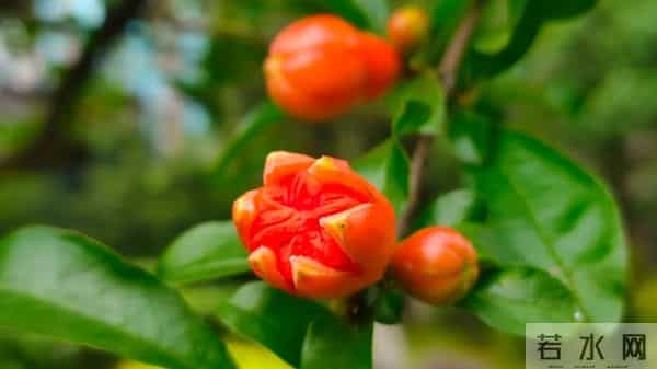 3000块钱买来一个教训：借钱是帮助，但劝你不要轻易借钱给人