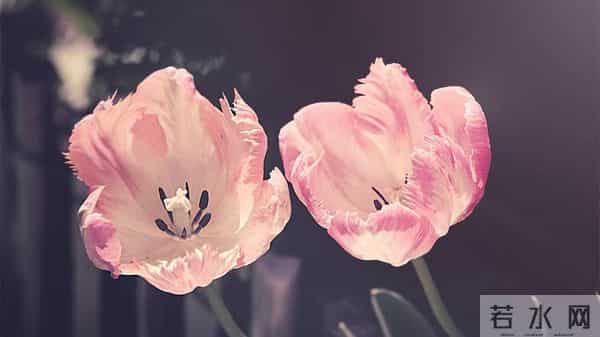 一个细节,说明男人爱你