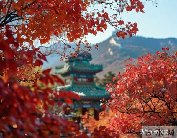 异性之间,偷偷做过这些事,就是彼此动了情