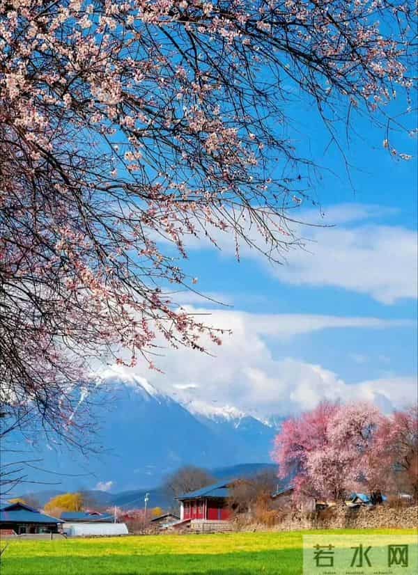 人间清醒的句子,愿你温柔地看透这世界