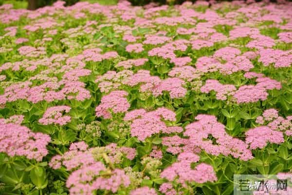 夫妻到了七十岁，还能同居，只有三种情况