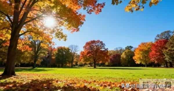 守住人生底线，别让善良被透支，被别人标准左右，你真活得自由吗