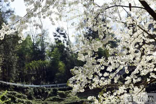 经历两次离婚,我明白了-所有夫妻关系的破裂,都始于同一个错误