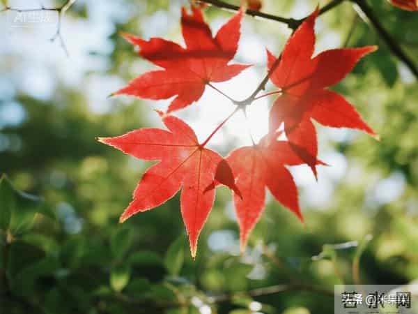 快接住了!老天爷都护着心善的人,你家往后干啥都顺!好事天天来