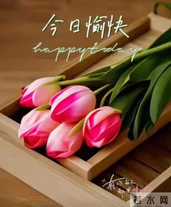 2025年12月05日早上好 早上好温馨问候祝福语 早安精美图片 周五愉快