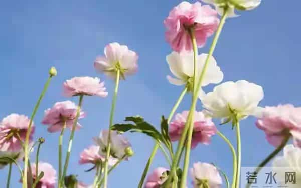 两性关系，50岁后，女人愿意被你抱，说明这几个心理防线已崩溃