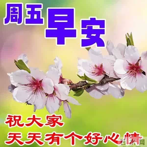最新漂亮早上好问候图片,每天清晨激励语,愿你健康如意幸福安康