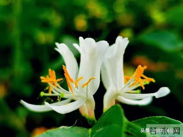 从因果定律告诉你,不要去可怜任何人,因为他们不值得