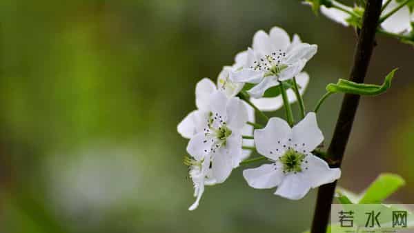 离婚6年前夫患重病,前婆婆找我出钱救人,我说好却转身离家出走