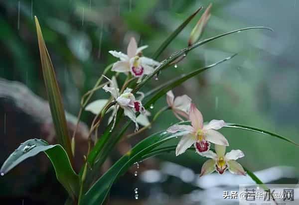 两性关系:80岁女人说的大实话,句句扎心,赶紧看看。