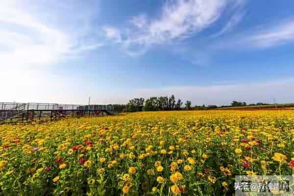 从明天起转运!普通人苦尽甘来的真实启示录