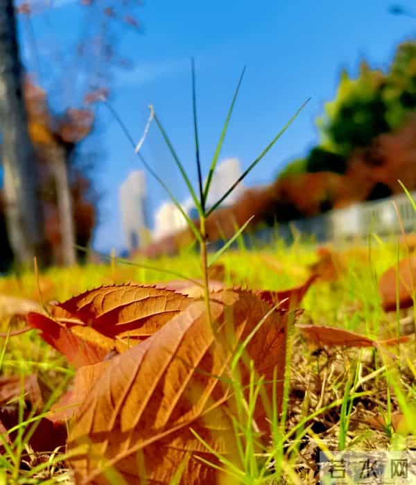 山东人均养老金4001.2元,灵活就业年缴10800元到底要缴多少年?