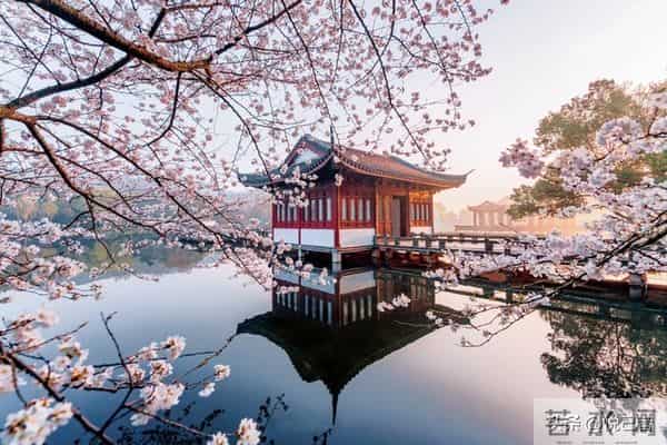 发现一个玄学真相:不要让别人知道你的状态,人生真的很顺!