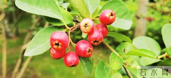 写作零基础?这三招让我把博主做成了