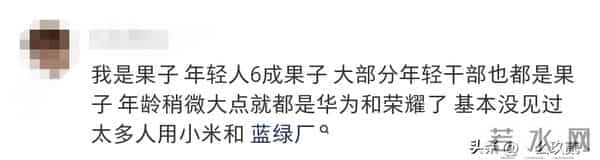 体制内工作的都用什么手机？