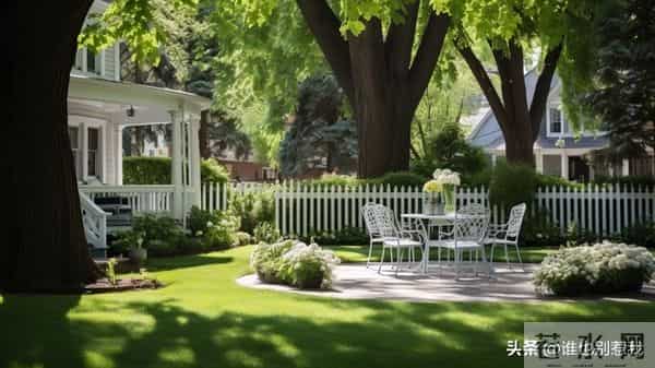 文章与微头条能否同发?帐号垂直如何取会,新手创作者该怎样破局