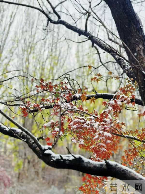 全国放开!2025年起,灵活就业者不用回老家,在常住地就能买医保