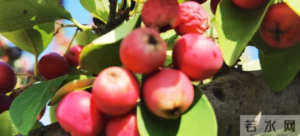 写作零基础?这三招让我把博主做成了