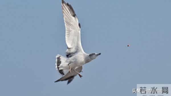 你说得越多，越容易暴露！高手靠沉默拿筹码
