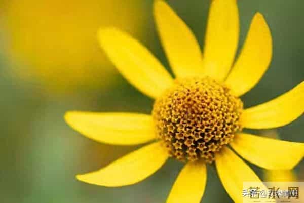 从明天起转运!普通人苦尽甘来的真实启示录