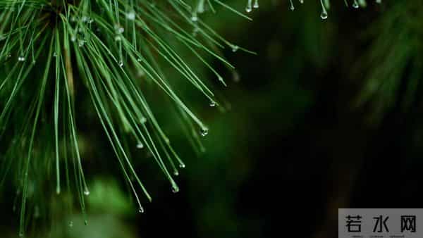 及时止损:40岁后最该学会的人生减法