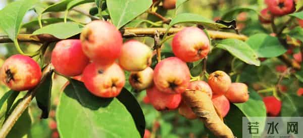 写作零基础?这三招让我把博主做成了