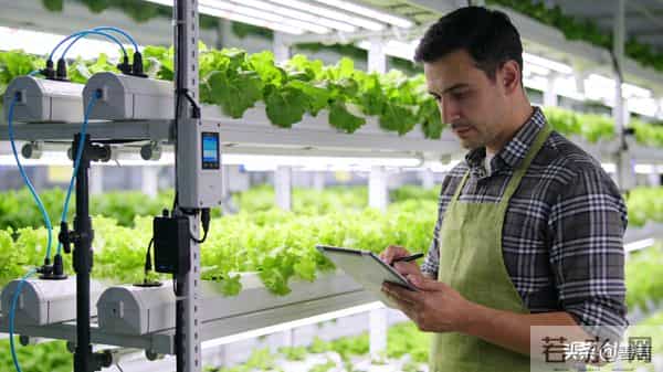 城乡6类岗位“招贤”，家门口就能稳增收！