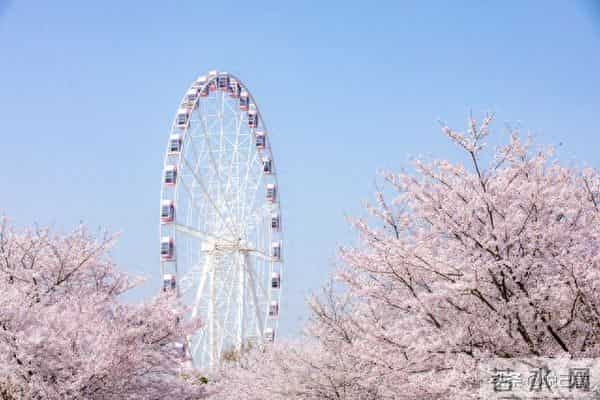 发现一个玄学真相:不要让别人知道你的状态,人生真的很顺!