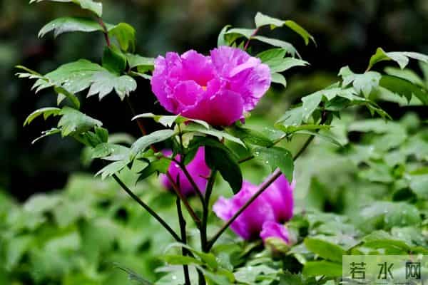 面试上百人后顿悟:很多人找不到工作是有道理的,4个致命错