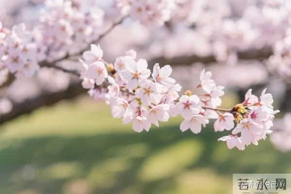 发现一个玄学真相:不要让别人知道你的状态,人生真的很顺!