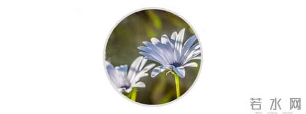 学写作:用这个方法,每天都有写不完的话题!超级简单!