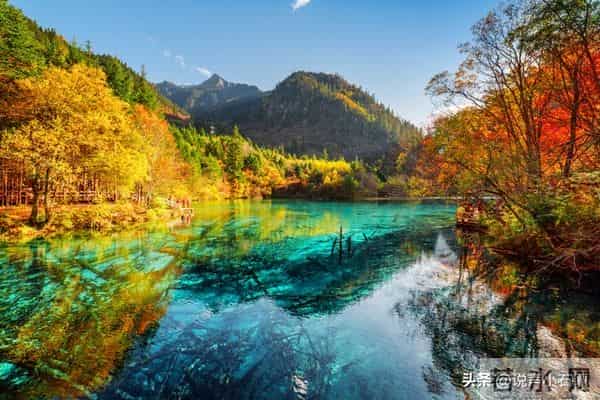 恭喜你,已经走出霉运,迎来全面复苏