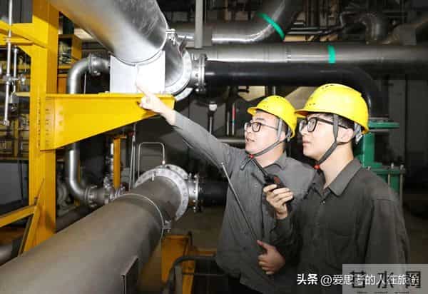 电厂选管理还是技术岗?3组数据拆透差别,建议收藏