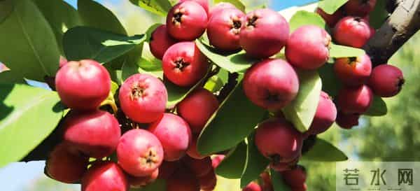 写作零基础?这三招让我把博主做成了