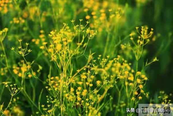 失业后别乱找零工！2个国家免费平台：半小时能用，活稳钱还日结