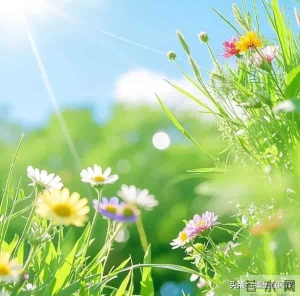 别等好运找上门!自己动手,创造属于你的幸运!