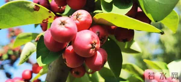 写作零基础?这三招让我把博主做成了