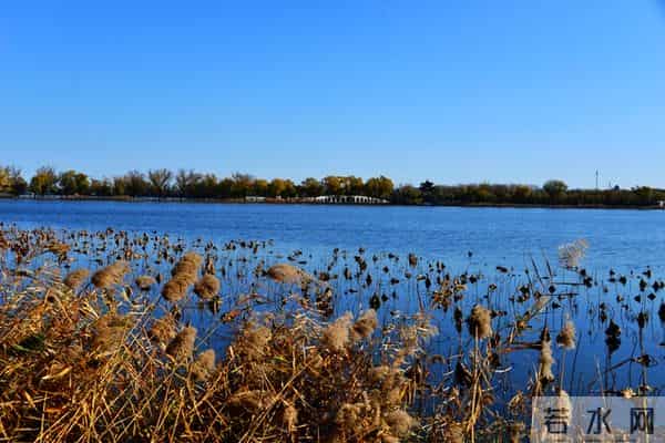 情商高的人,身上都有这些可怕的特质!