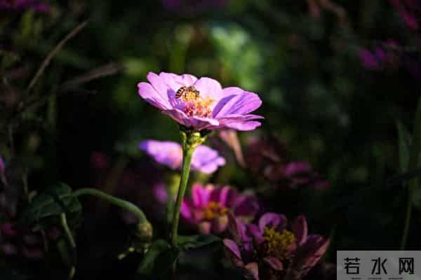 情商高的人,身上都有这些可怕的特质!