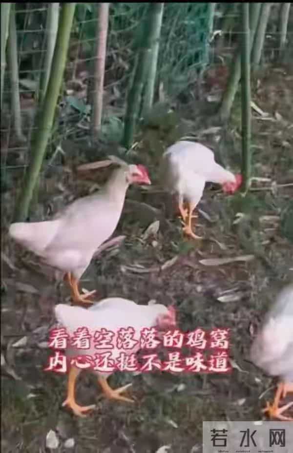 上市公司太欺负人了!自个公开鼓励员工吐槽为何又秒删真实言论?